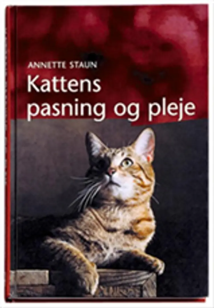 Kattens pasning og pleje af -