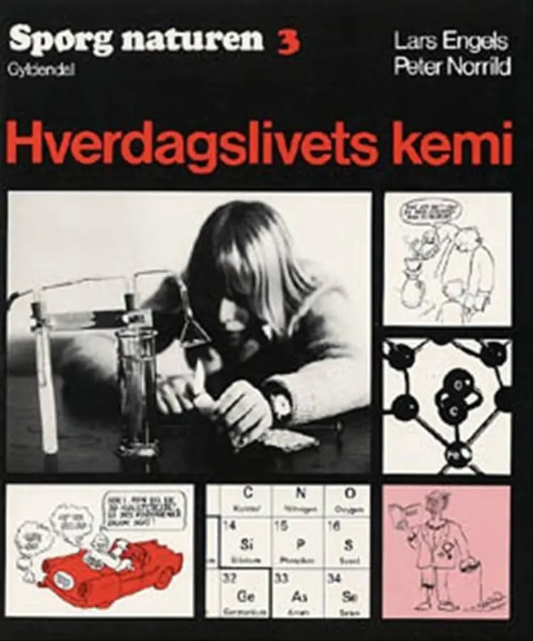 Hverdagslivets kemi af Peter Norrild