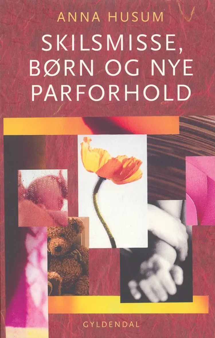 Skilsmisse, børn og nye parforhold af Anna Husum
