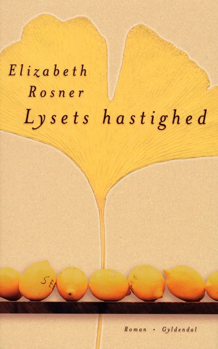 Lysets hastighed af Elizabeth Rosner