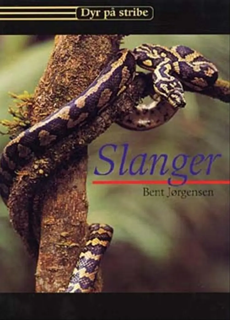 Slanger af Bent Jørgensen