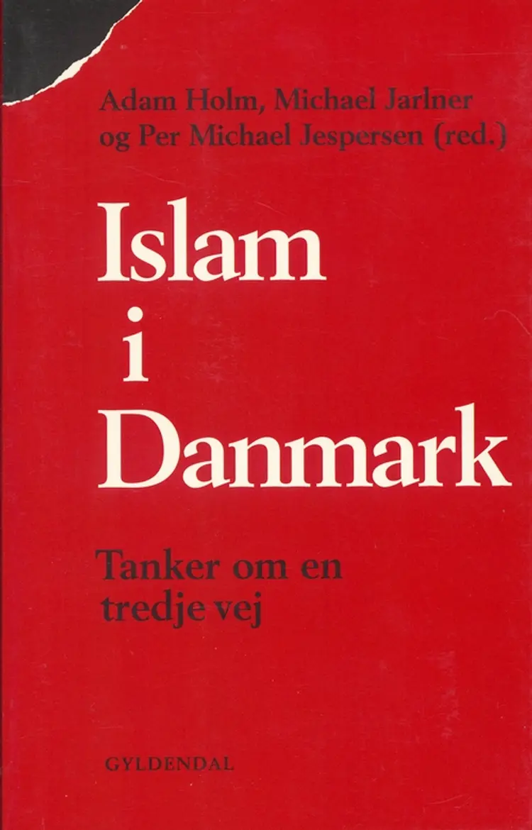 Islam i Danmark af Per Michael Jespersen