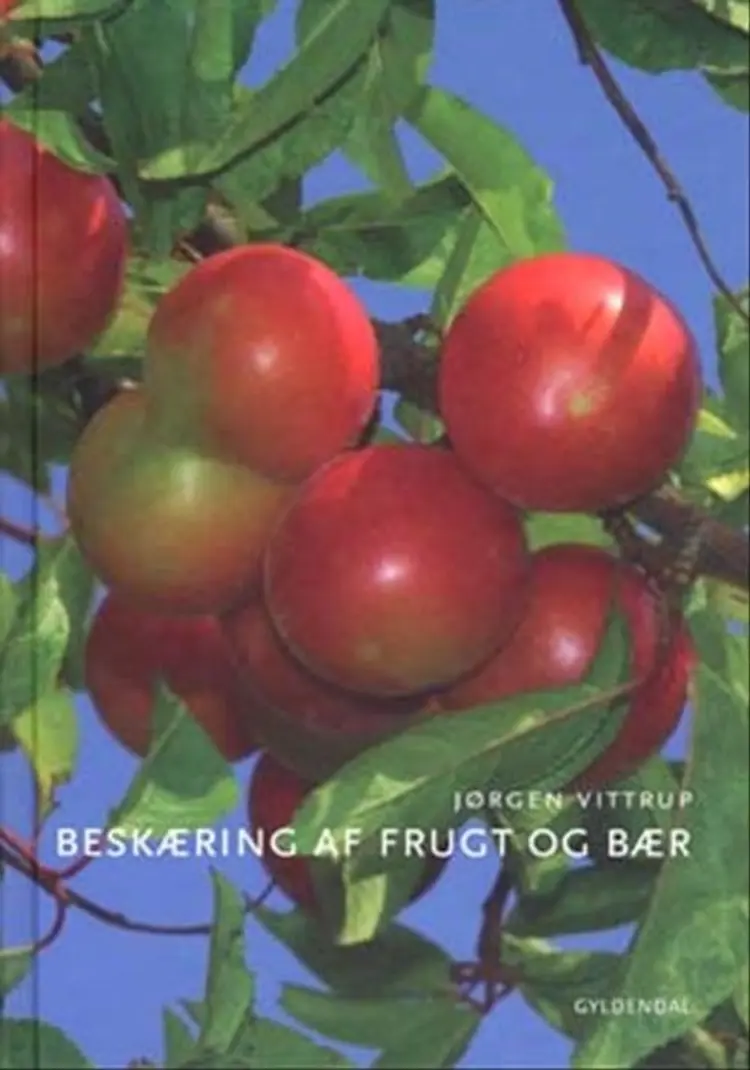 Beskæring af frugt og bær af Susanne Gamsgaard