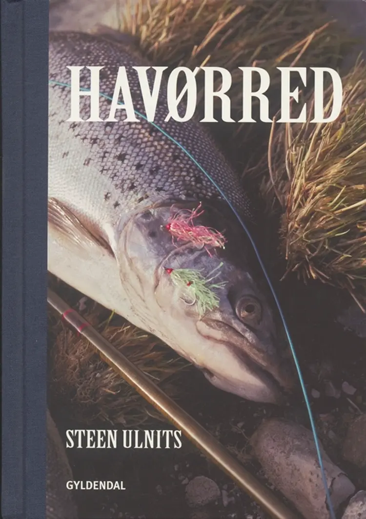 Havørred af Steen Ulnits