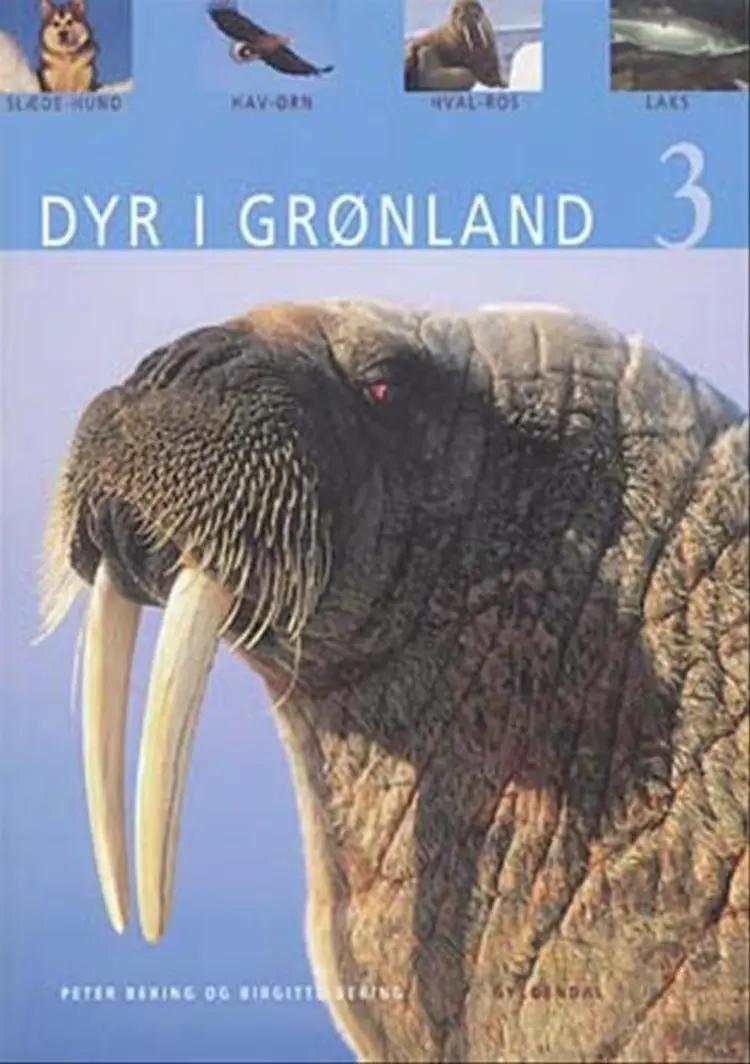 Dyr i Grønland af Peter Bering