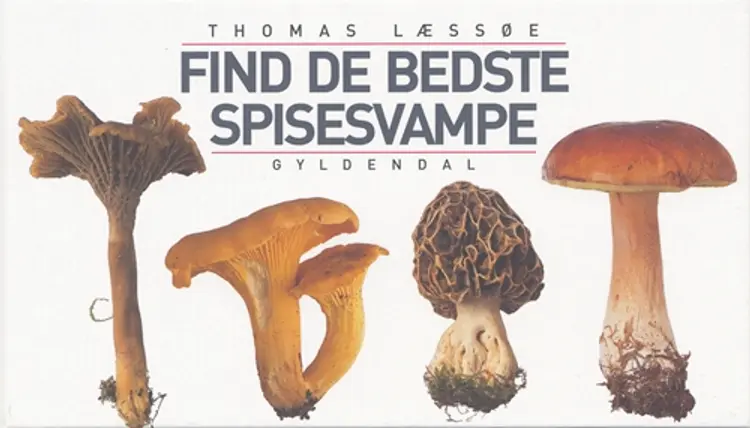 Find de bedste spisesvampe af Thomas Læssøe