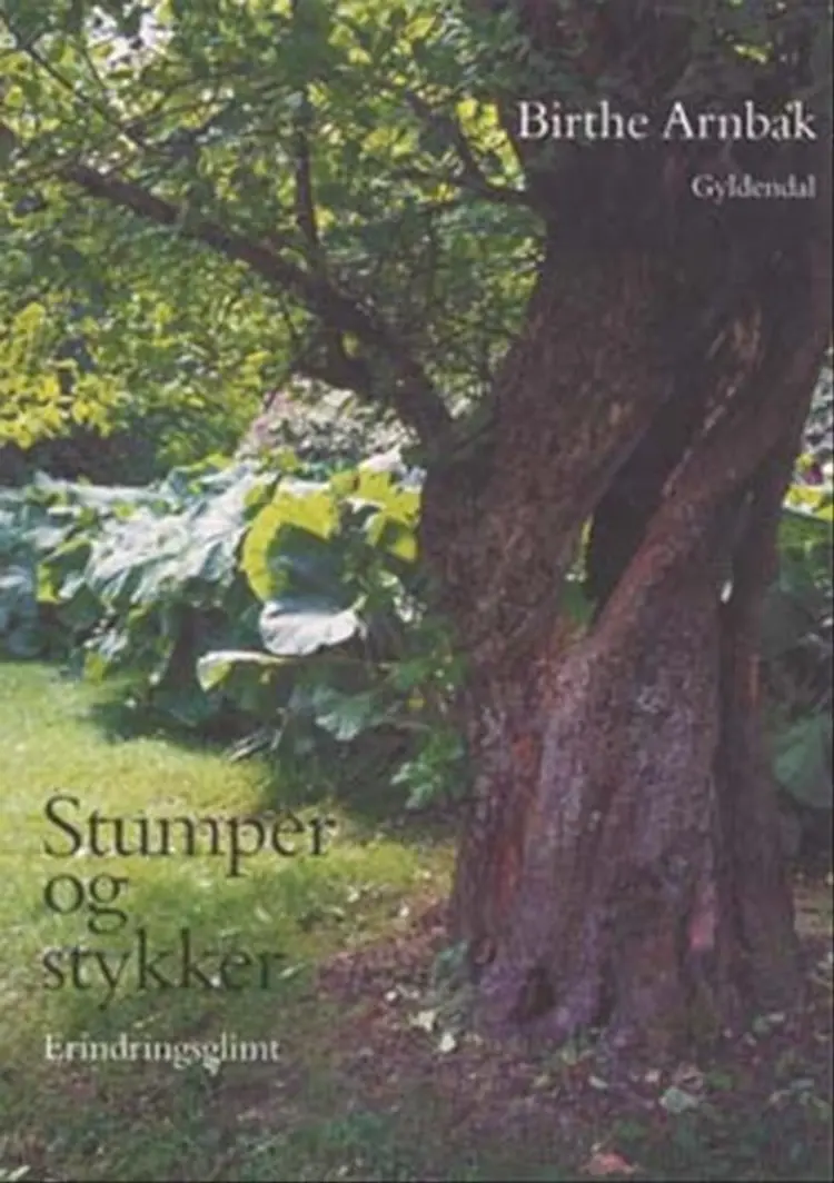 Stumper og stykker af Birthe Arnbak