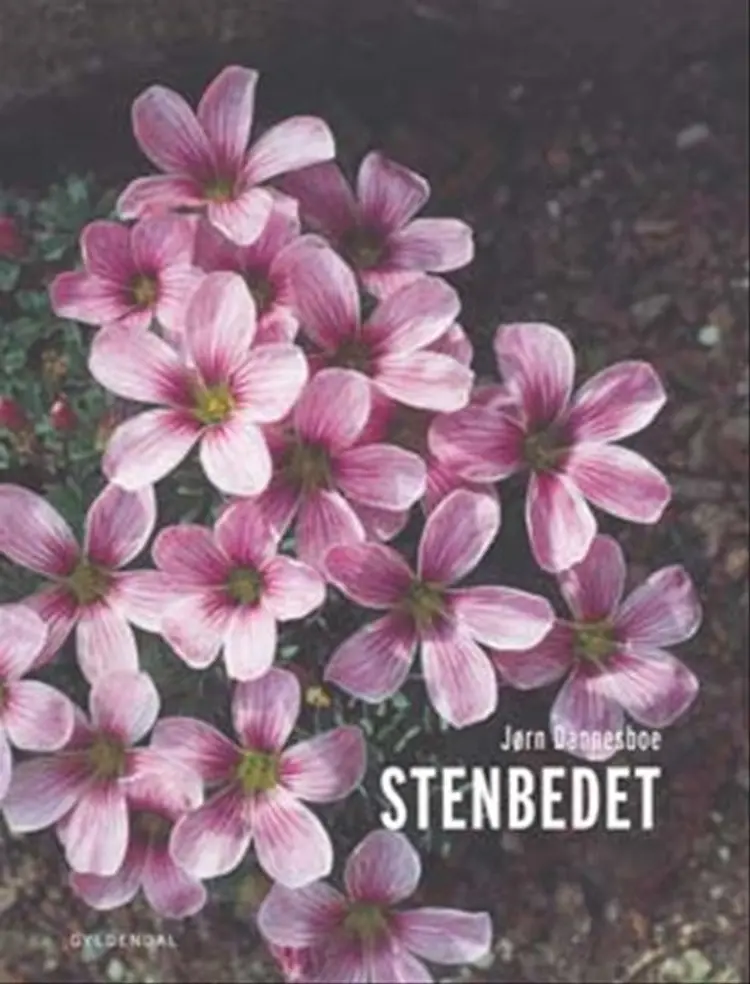 Stenbedet af Jørn Dannesboe