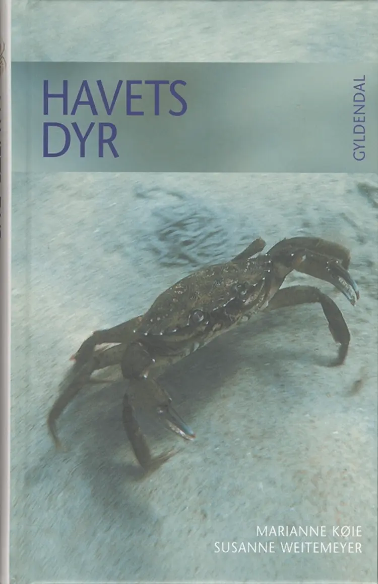 Havets dyr af Marianne Køie