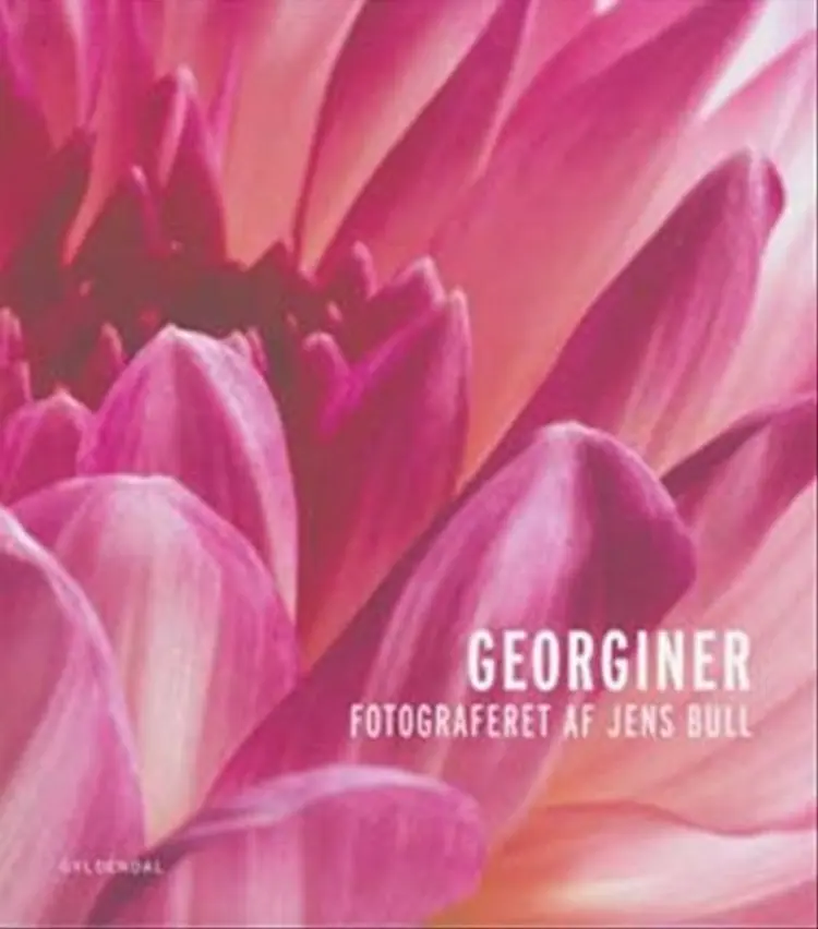 Georginer af Kristian Krøger