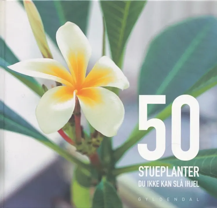 50 stueplanter du ikke kan slå ihjel af Henriette Ihlemann