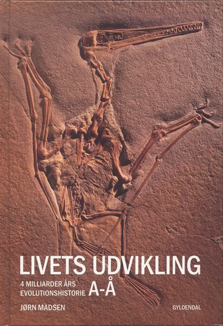 Livets udvikling af Henrik Jørgensen