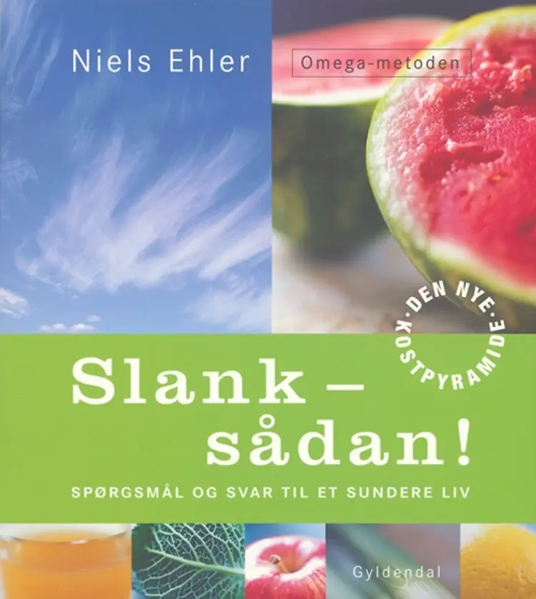 Slank - sådan! af Niels Ehler