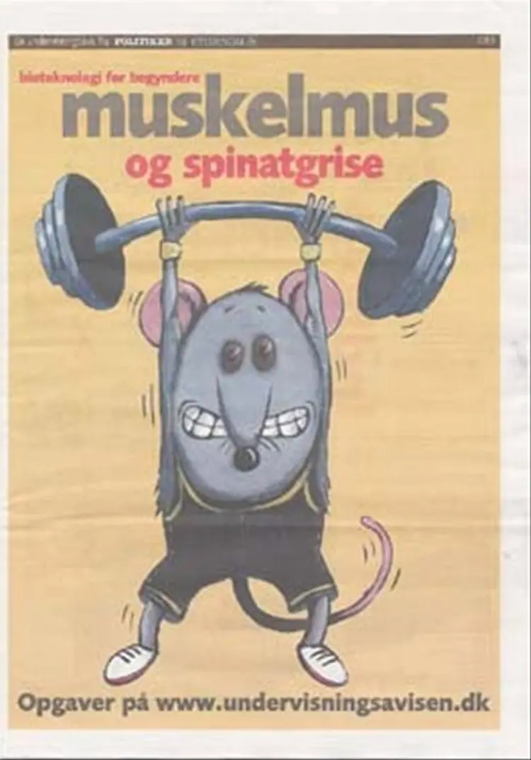 Muskelmus og spinatgrise af Maja Plesner