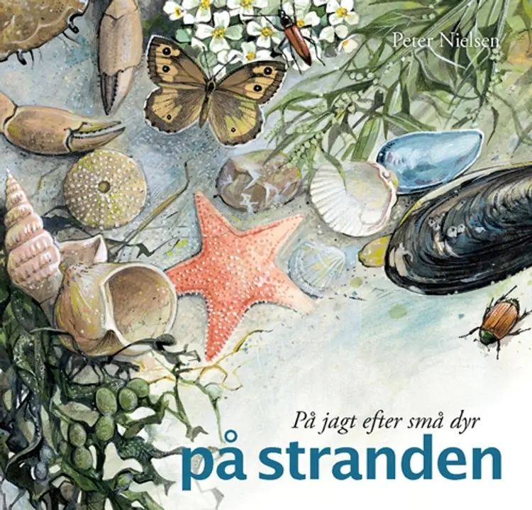 På jagt efter små dyr på stranden af Peter Nielsen