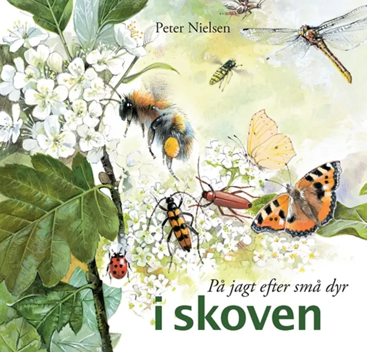 På jagt efter små dyr i skoven af Peter Nielsen