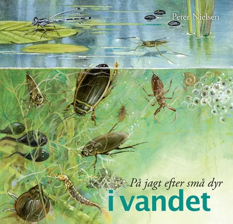 På jagt efter små dyr i vandet af Peter Nielsen