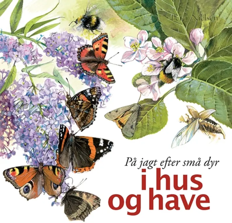 På jagt efter små dyr i hus og have af Peter Nielsen