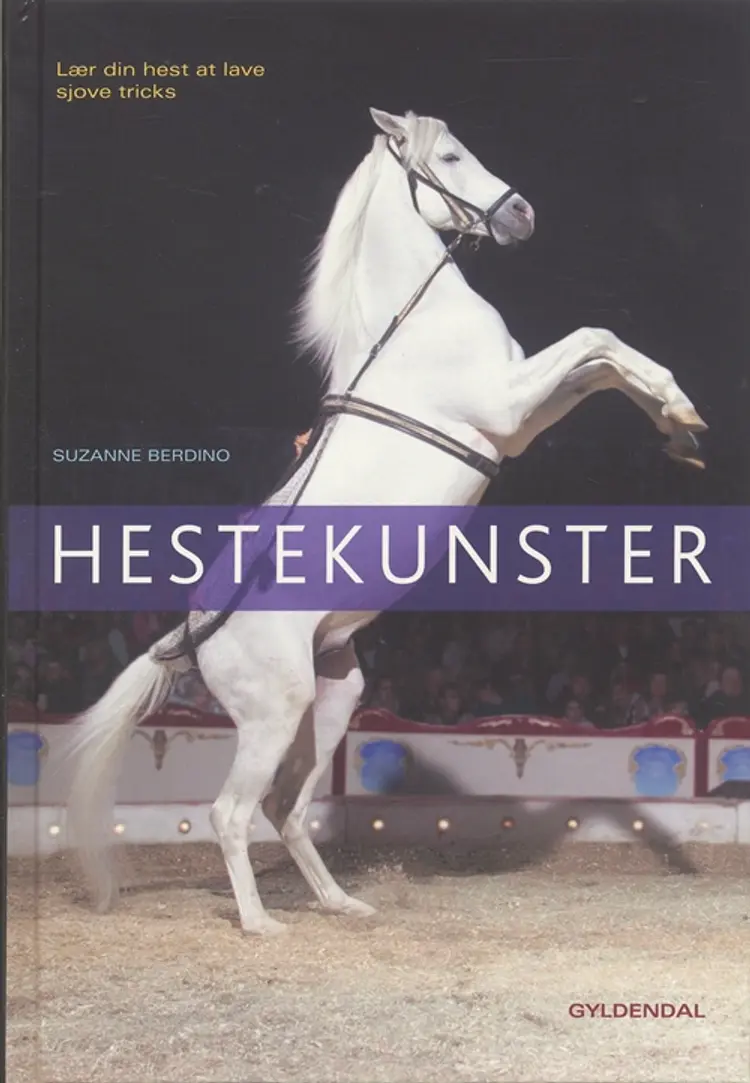 Hestekunster af Susanne Gamsgaard