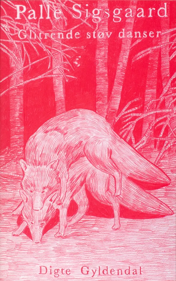 Glitrende støv danser af Palle Sigsgaard