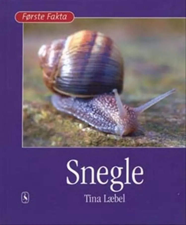 Snegle af Tina Læbel