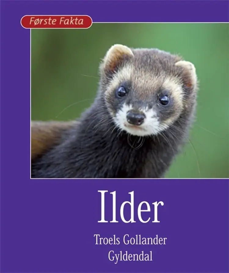 Ilder af Troels Gollander