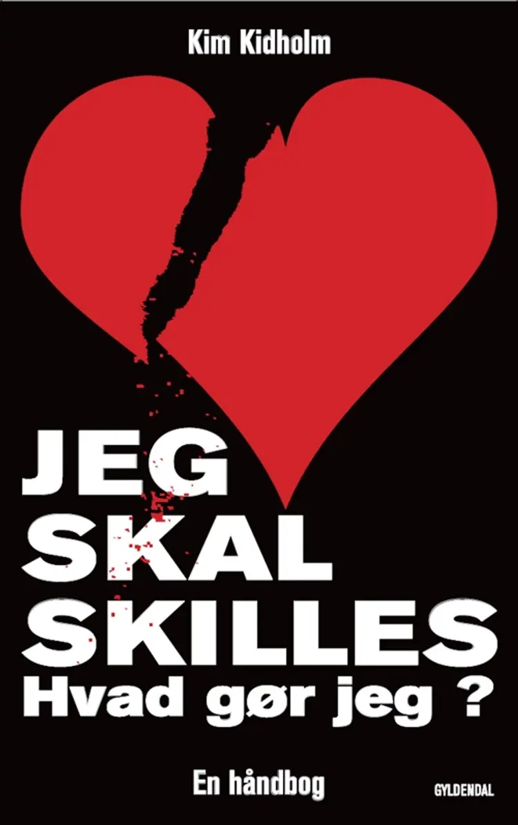 Jeg skal skilles - hvad gør jeg? af Kim Kidholm
