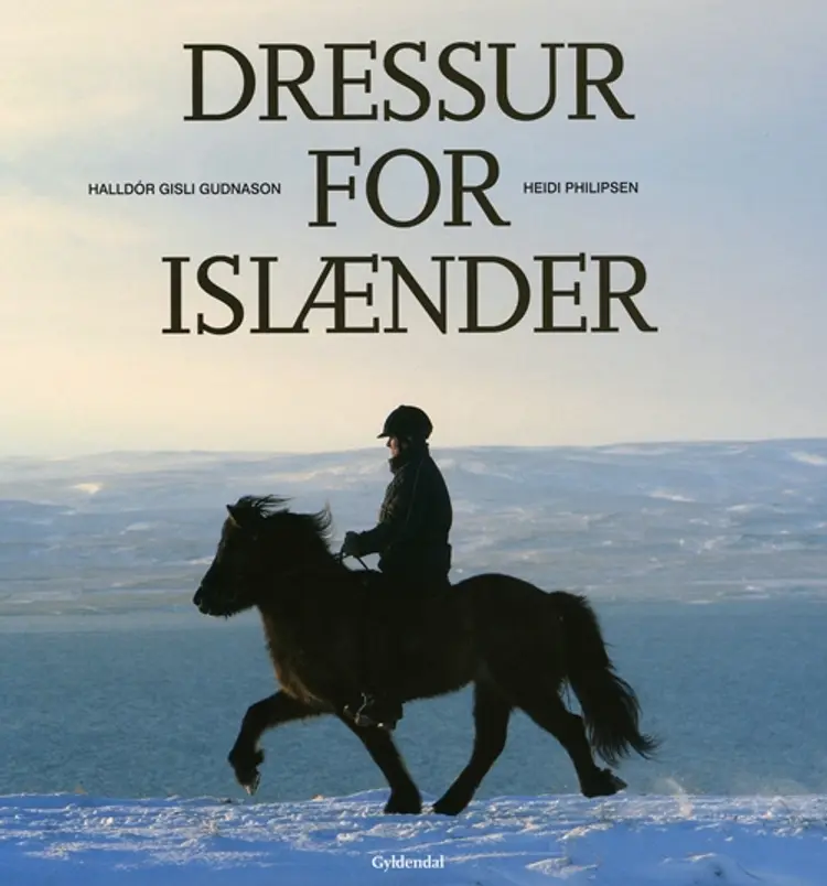 Dressur for islænder af Heidi Philipsen