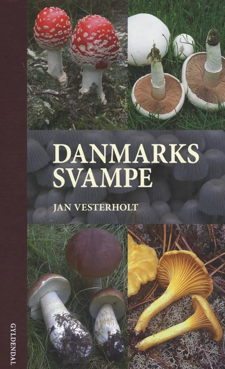 Danmarks svampe af Jan Vesterholt