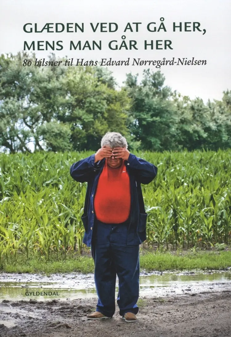 Glæden ved at gå her, mens man går her af Johannes Riis