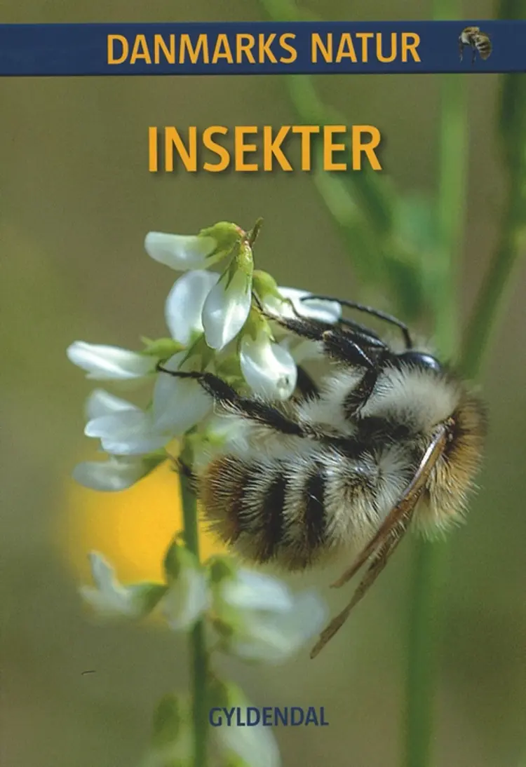 Insekter af Lars Serritslev