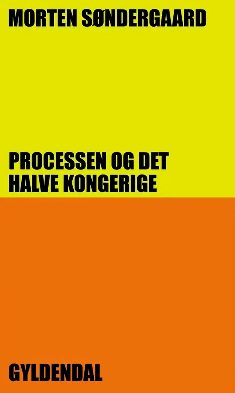 Processen og det halve kongerige af Morten Søndergaard