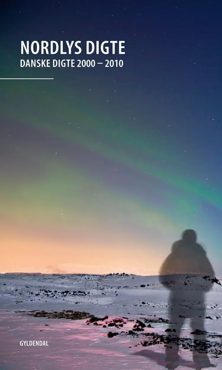 Nordlys Digte af Hanne Leth