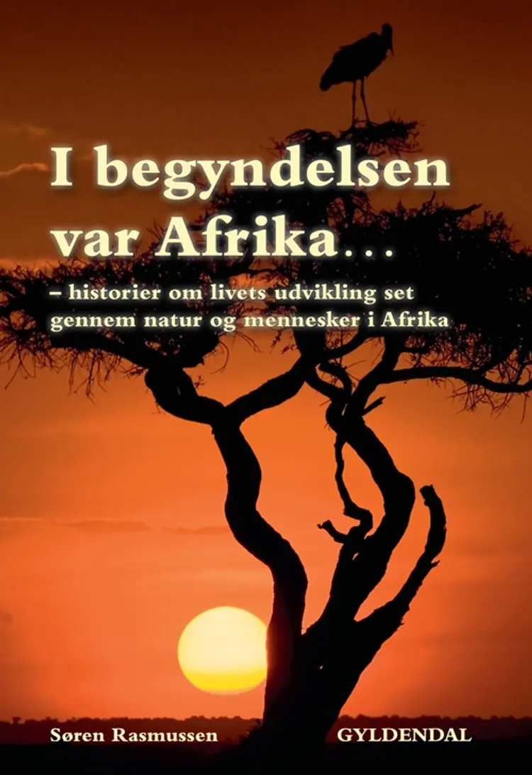 I begyndelsen var Afrika af Søren Rasmussen