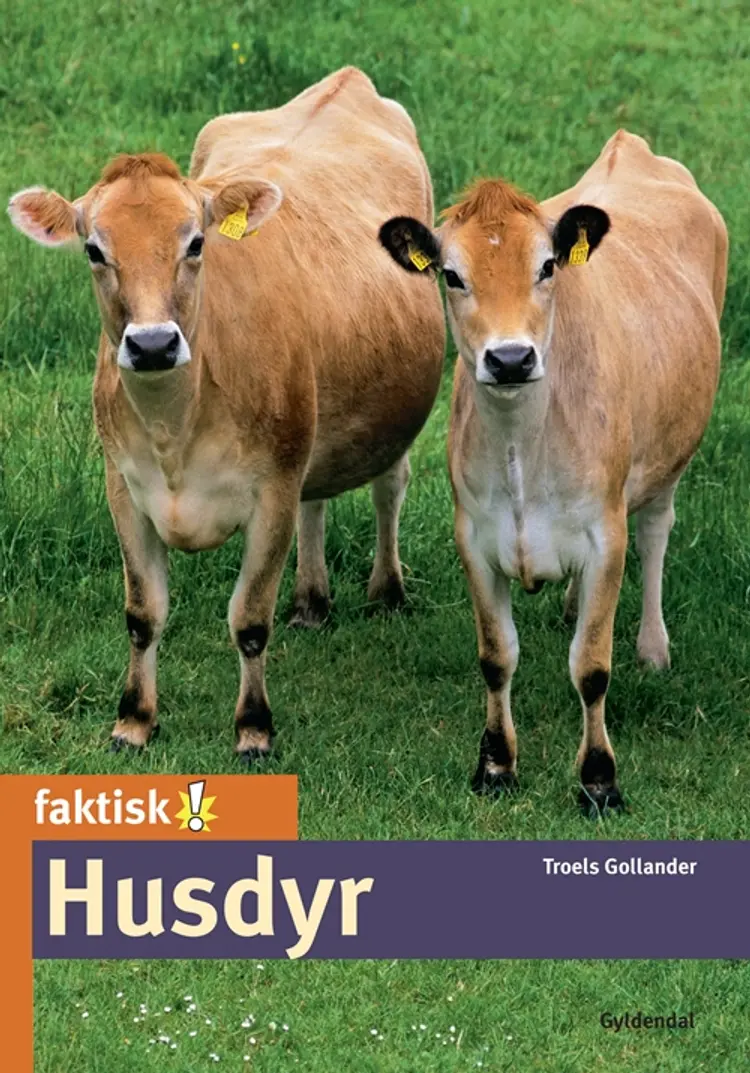 Husdyr af Troels Gollander