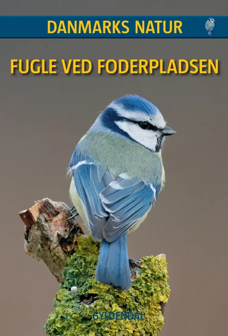 Fugle ved foderpladsen af Benny Génsbøl