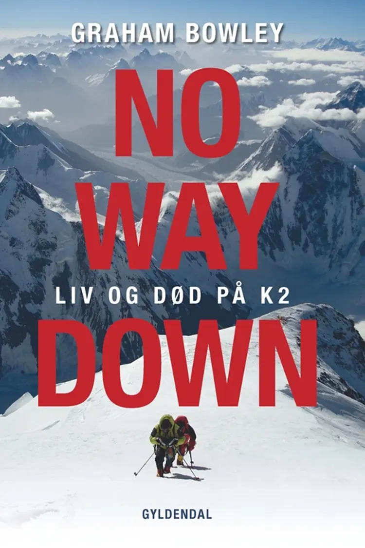 No Way Down af Graham Bowley