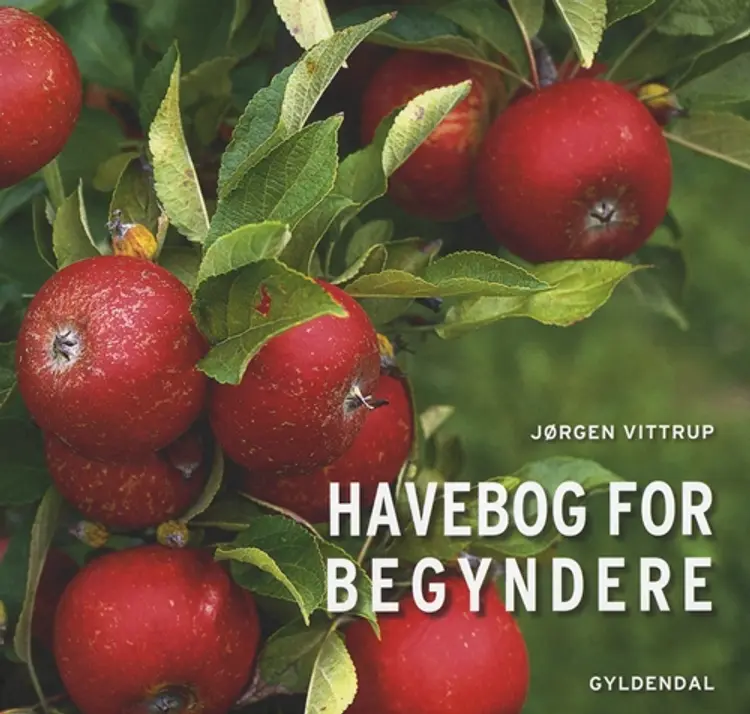 Havebog for begyndere af Susanne Gamsgaard