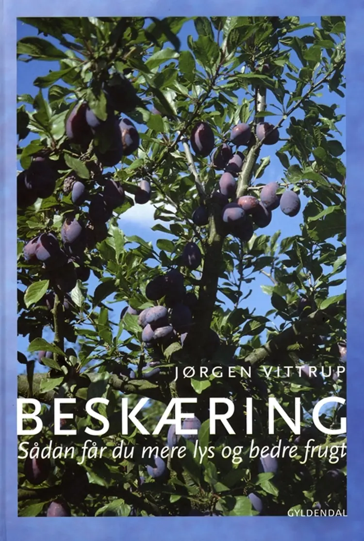 Beskæring af Susanne Gamsgaard