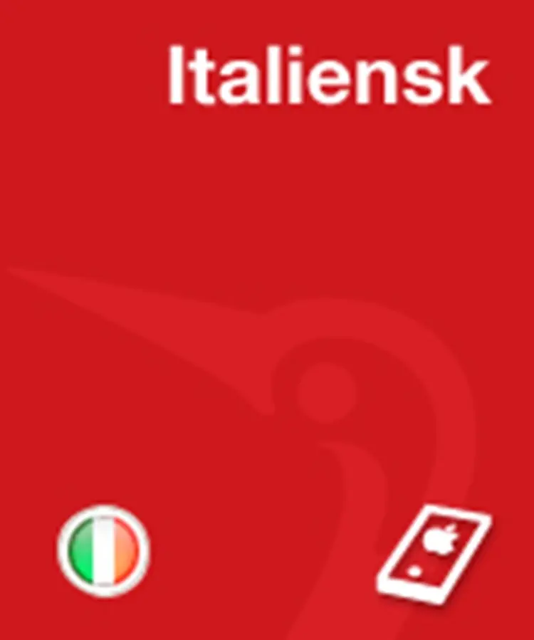 Gyldendals Italiensk Ordbog af Erling Strudsholm