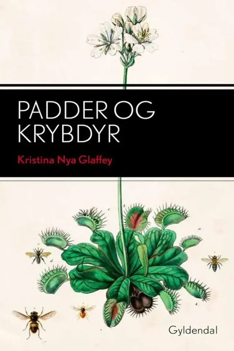 Padder og krybdyr af Kristina Nya Glaffey