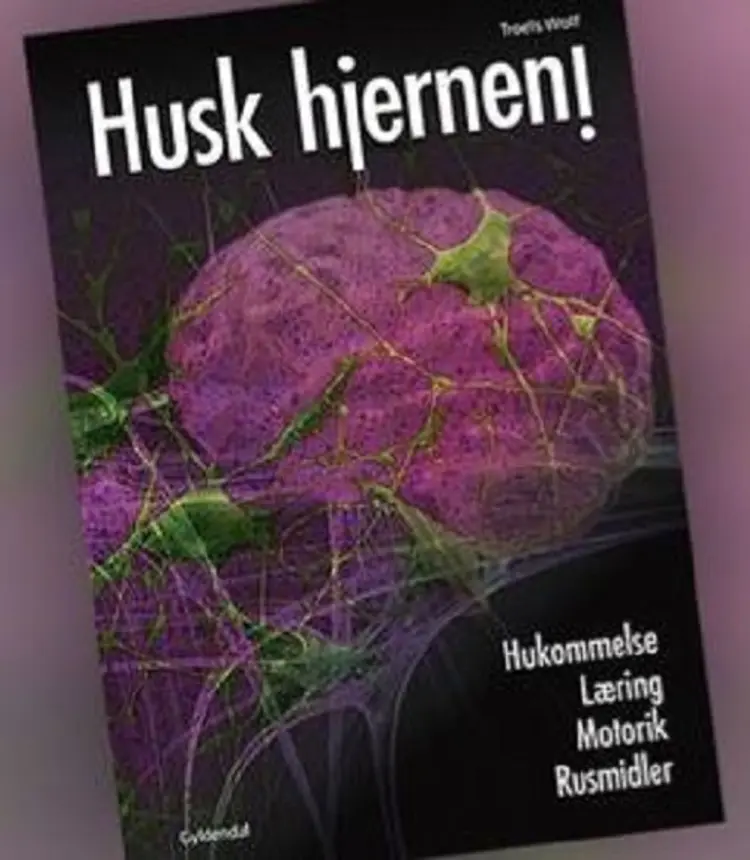 Husk hjernen! af Troels Wolf