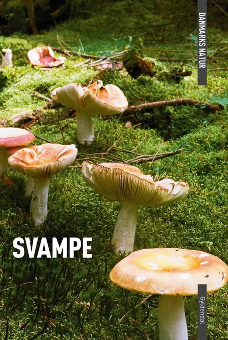 Svampe af Torben Gang Rasmussen