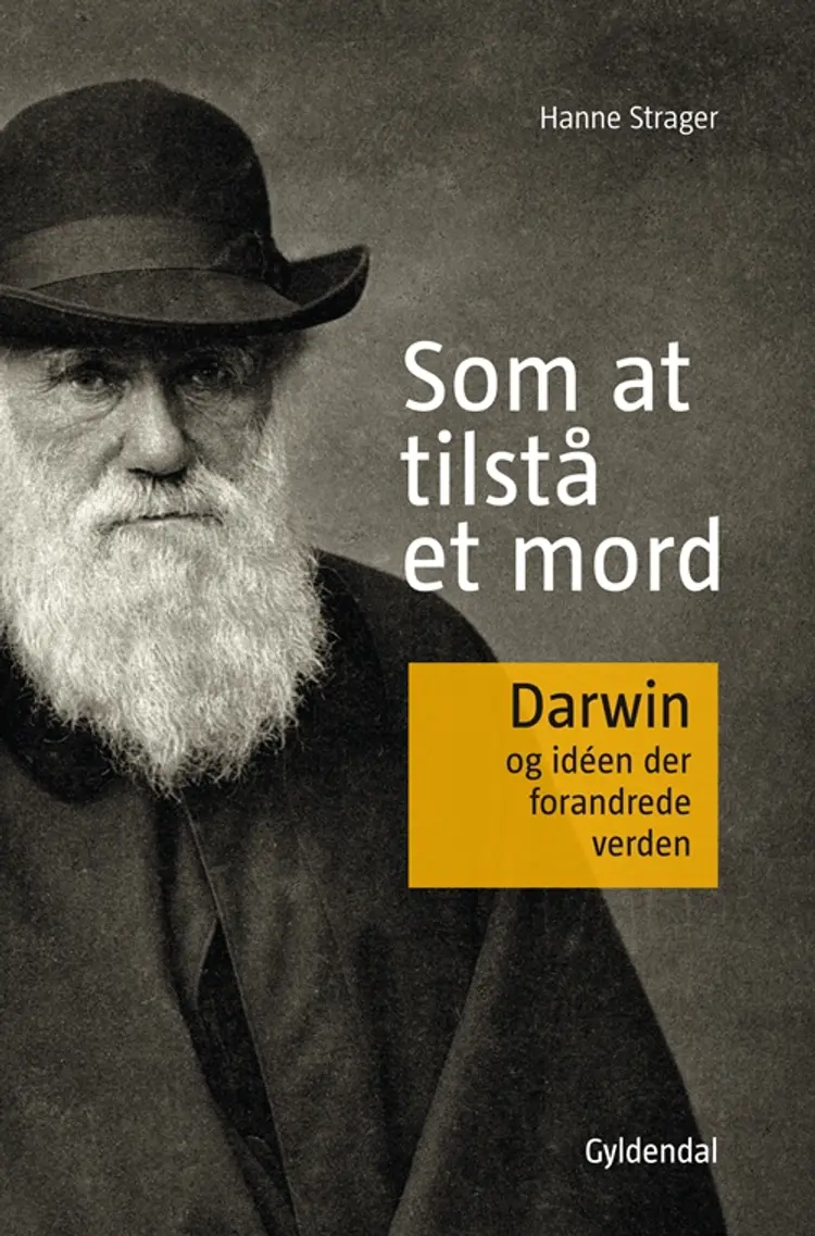Som at tilstå et mord af Hanne Strager