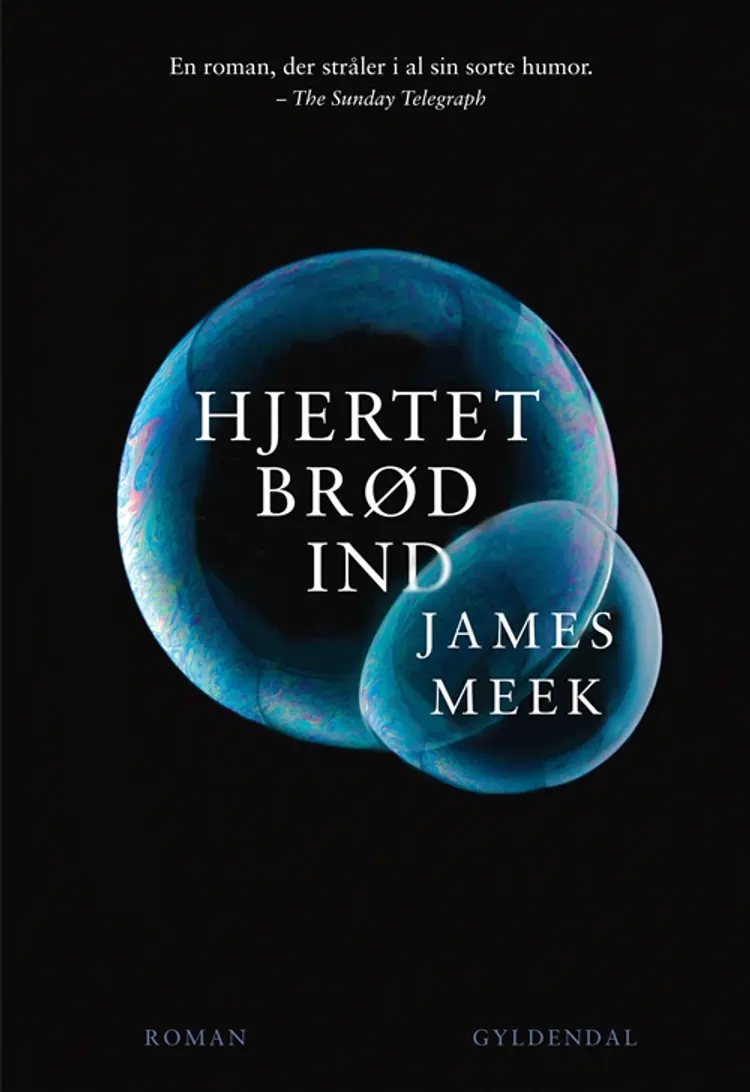 Hjertet brød ind af James Meek