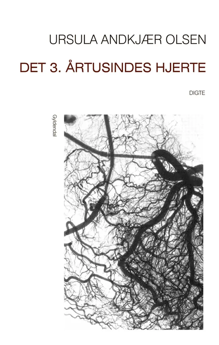 Det 3. årtusindes hjerte af Ursula Andkjær Olsen