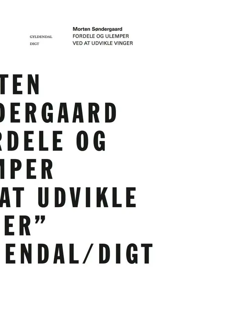 Fordele og ulemper ved at udvikle vinger af Morten Søndergaard