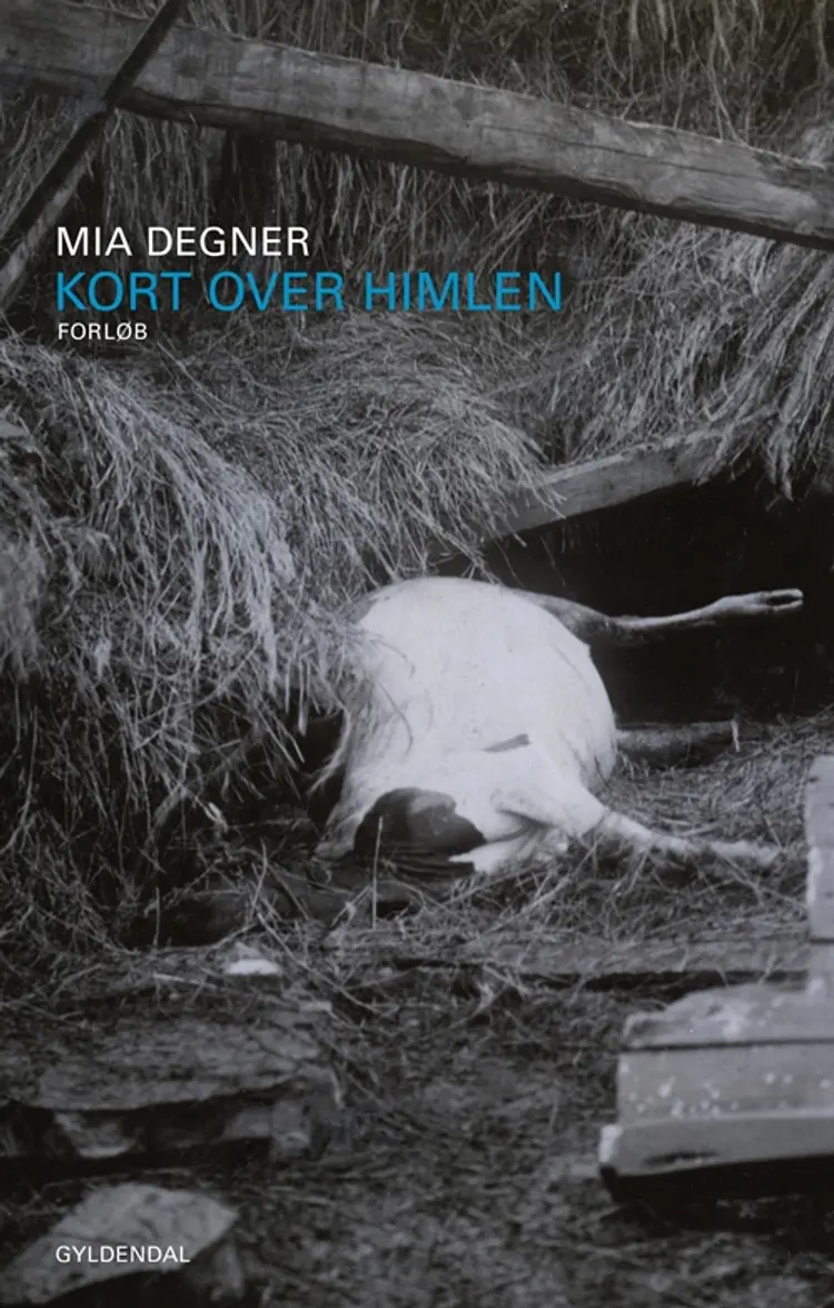 Kort over himlen af Mia Degner
