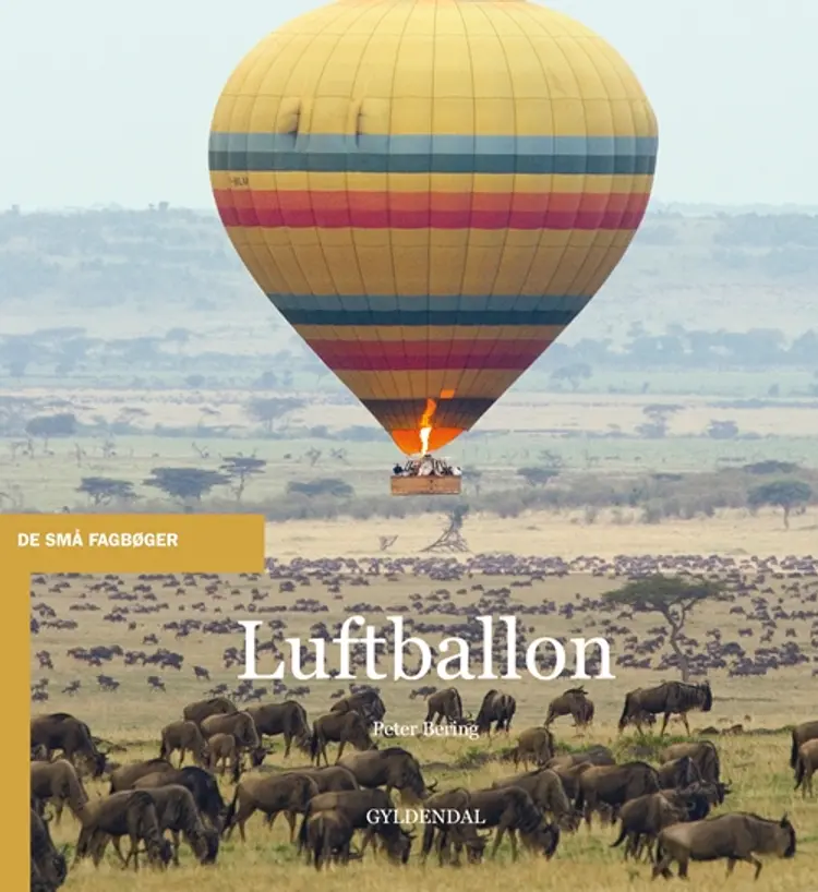 Luftballon af Peter Bering