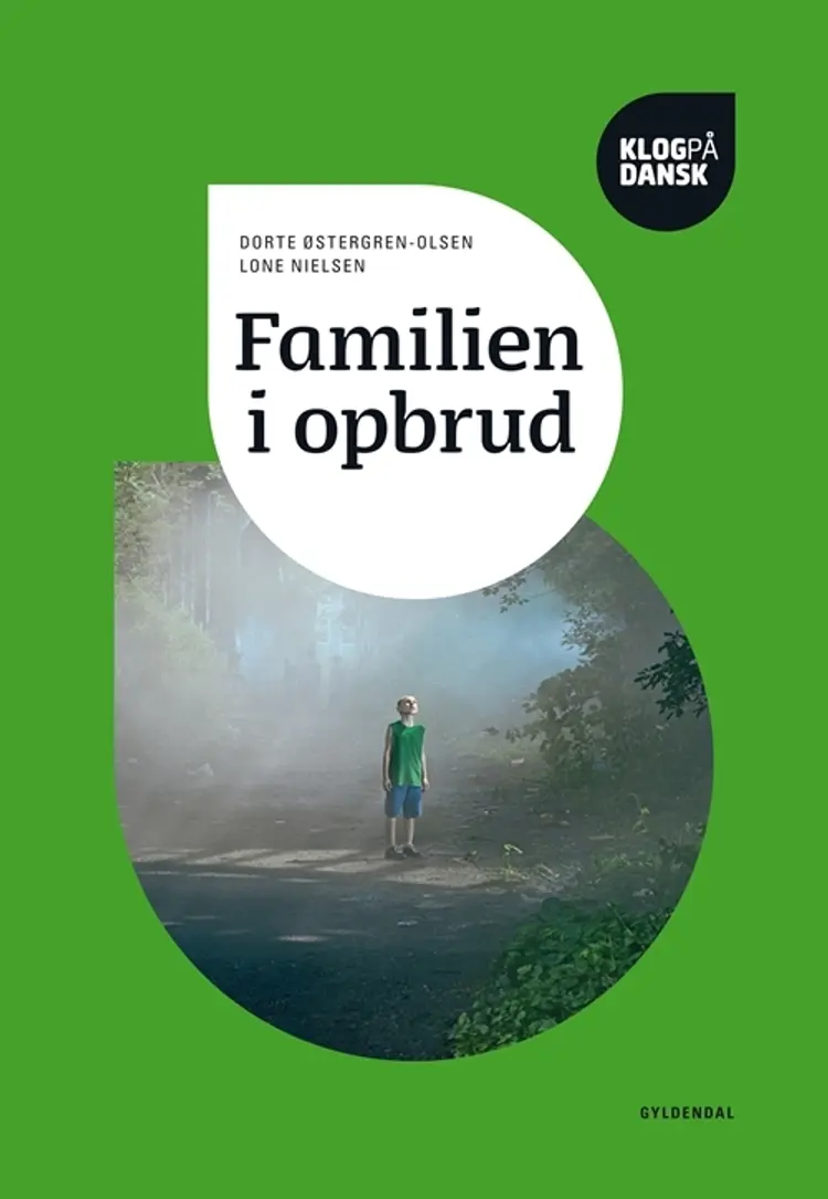 Familien i opbrud af Helle Jensen
